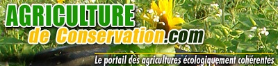 Agriculture de conservation - TCS